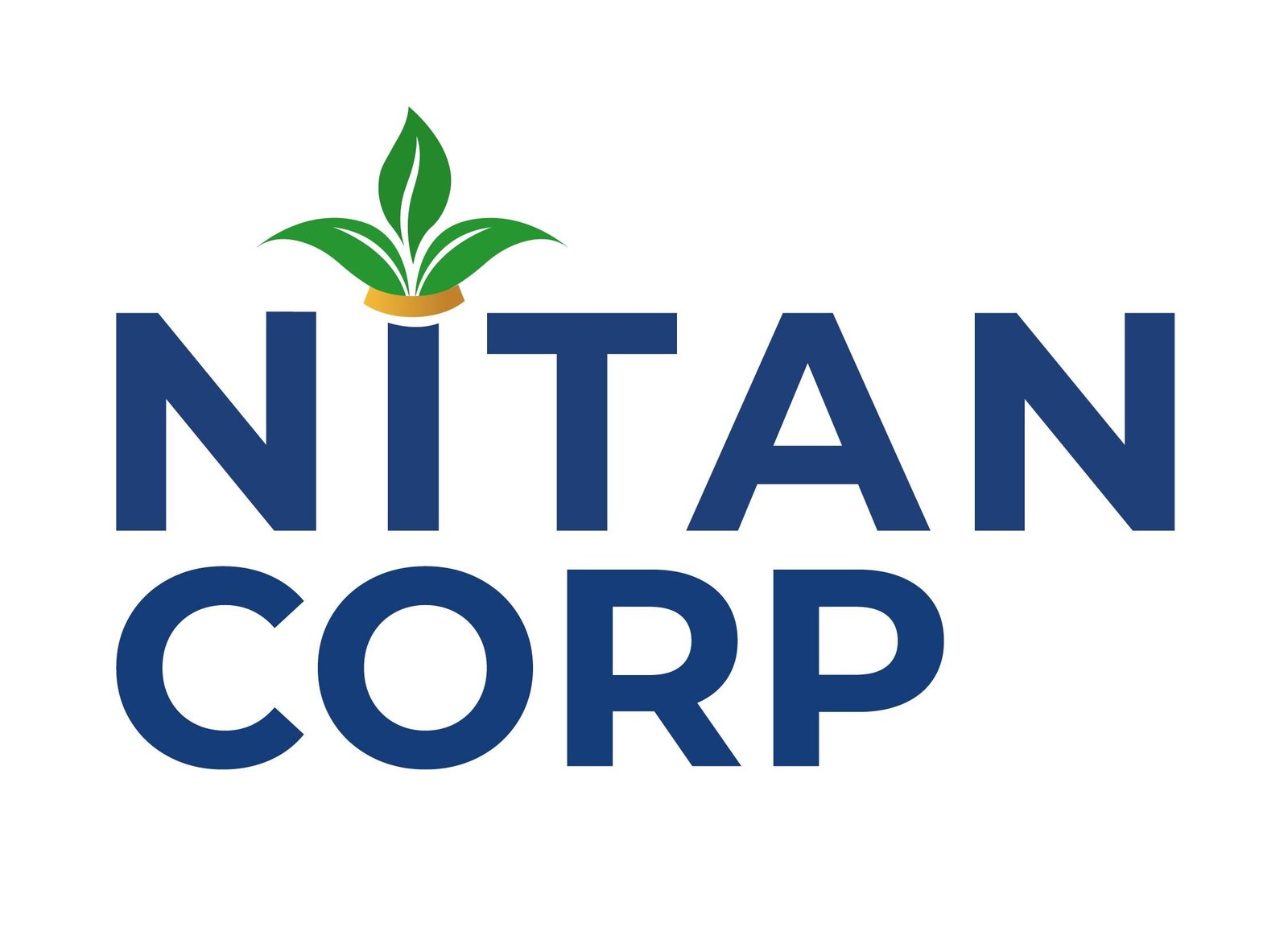 nitan logo